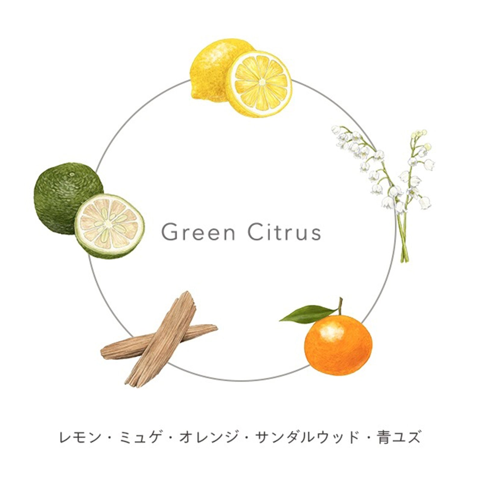 N organic マイルド&リファイニング トライアルキット×3個