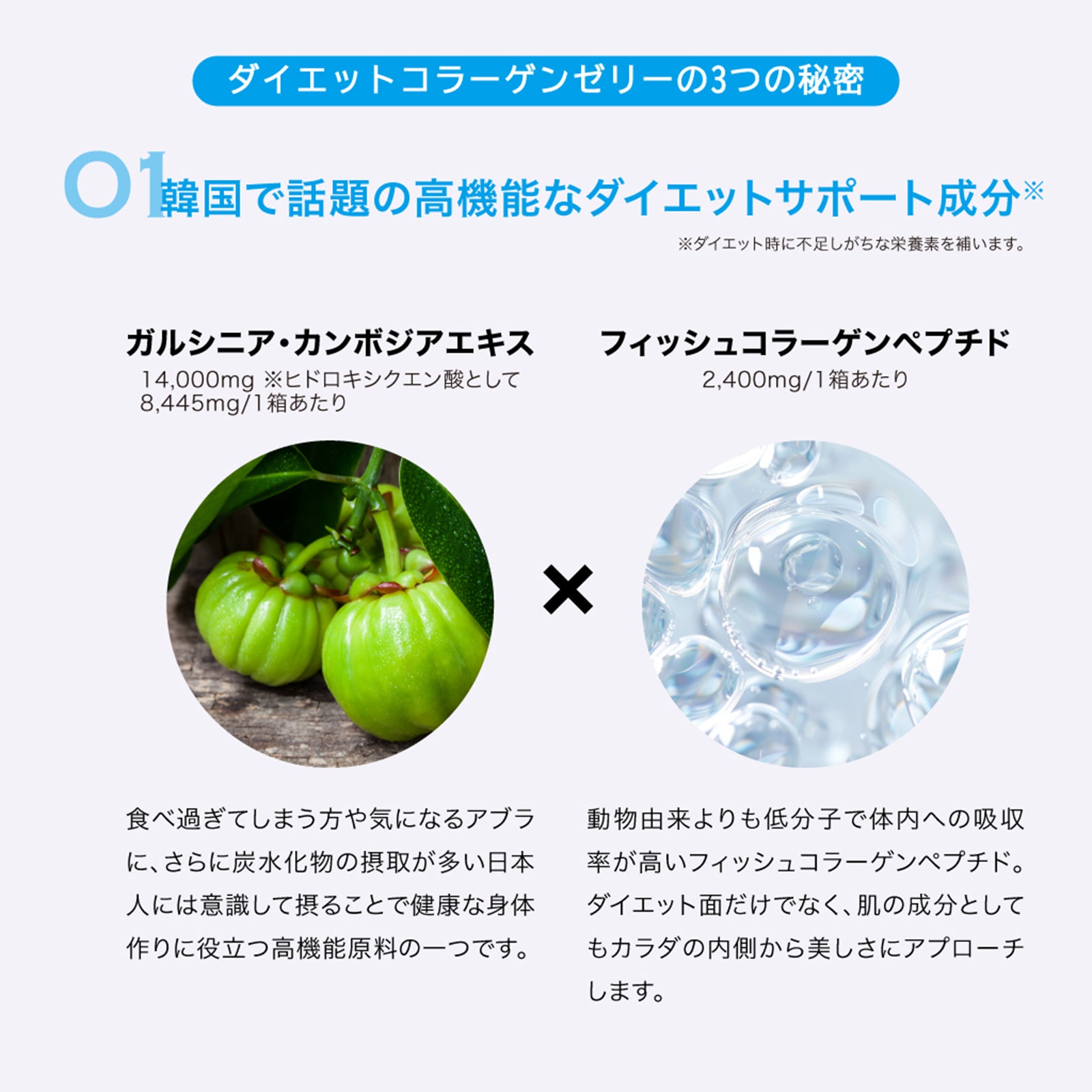 ヒルズラボ ダイエットコラーゲンゼリー3種3個/3種6個