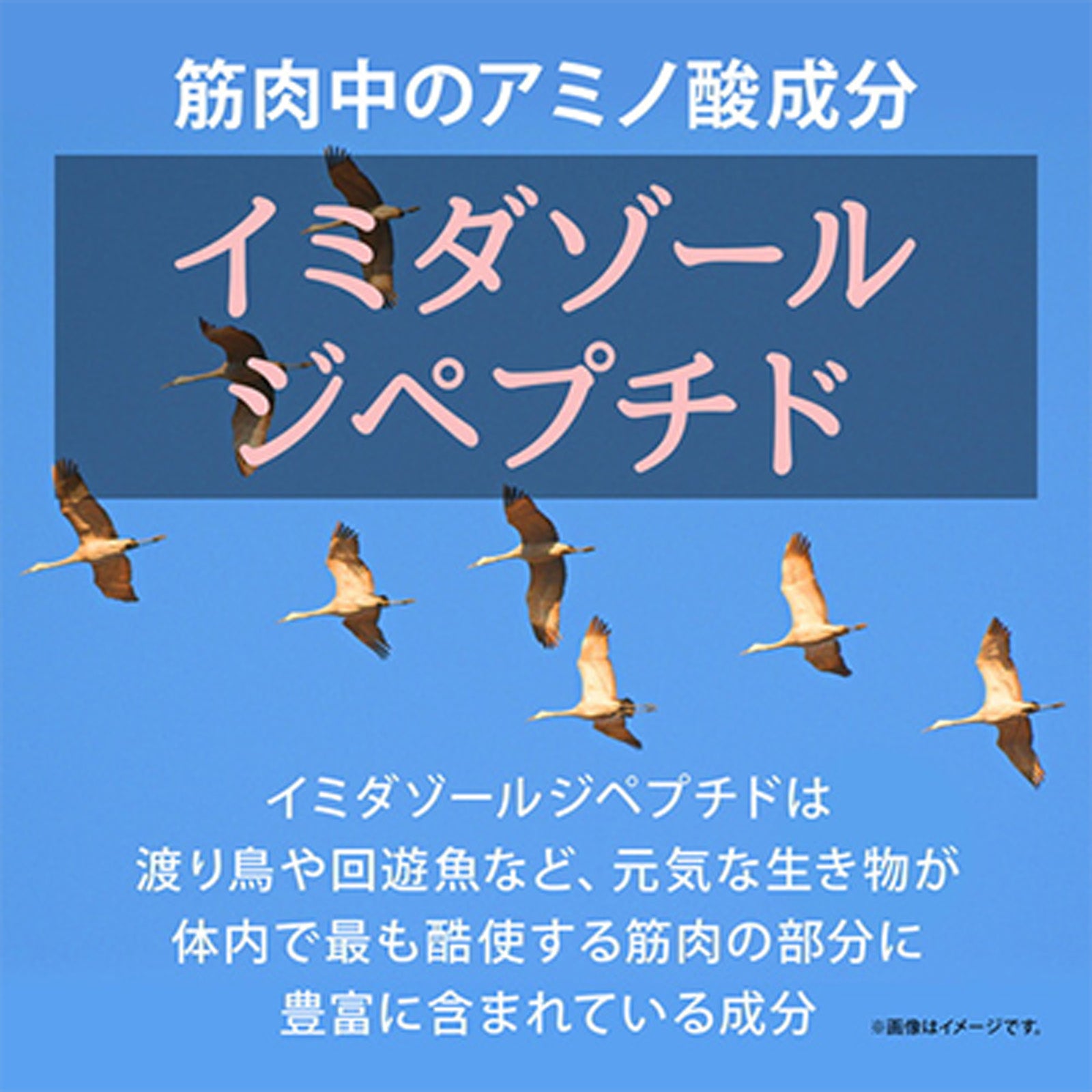 イミダゾールジペプチド×1袋/2袋