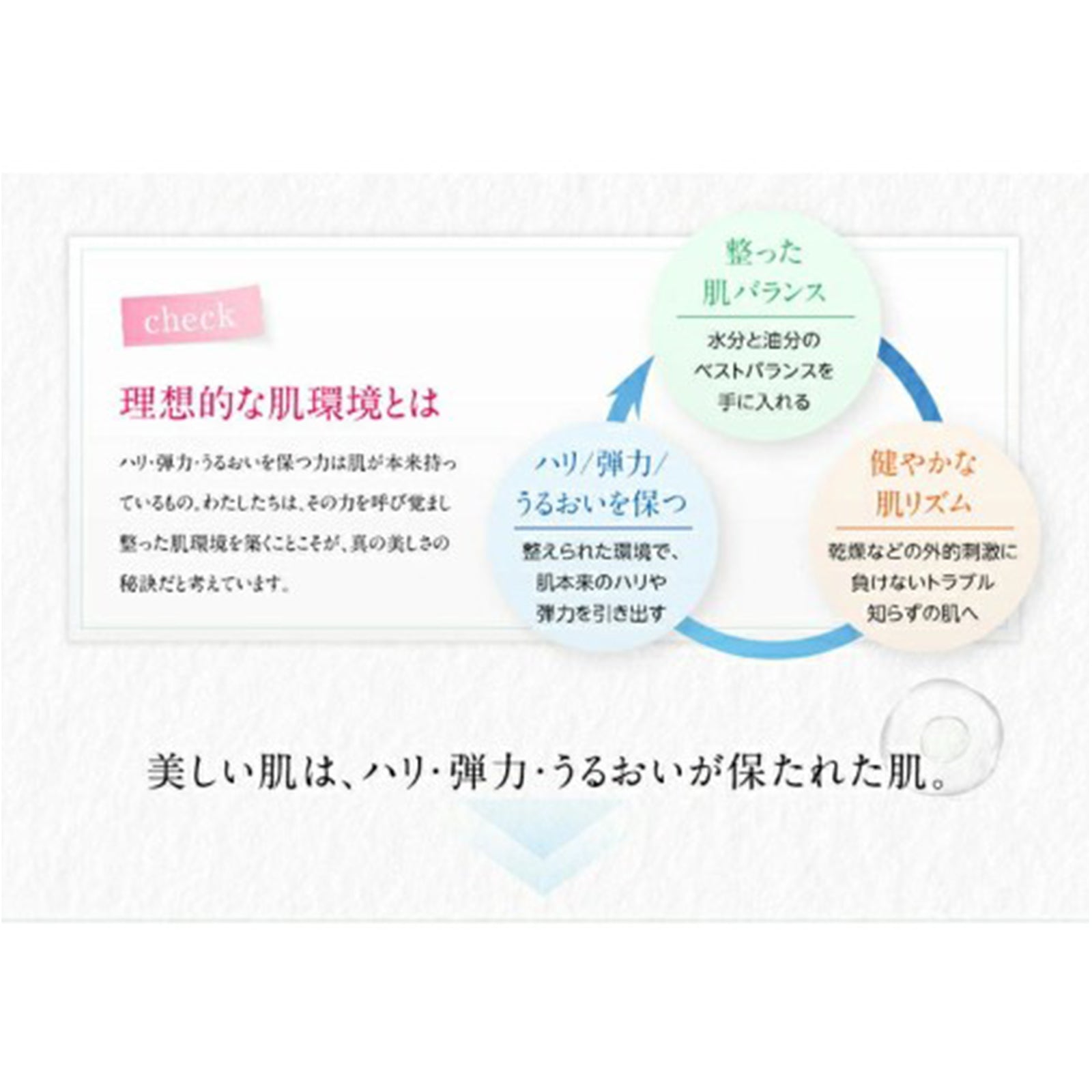 モイスチャーセラム×1個/2個