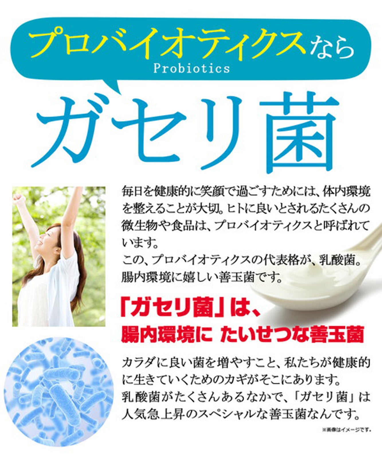 ガセリ菌プレミアム×1袋