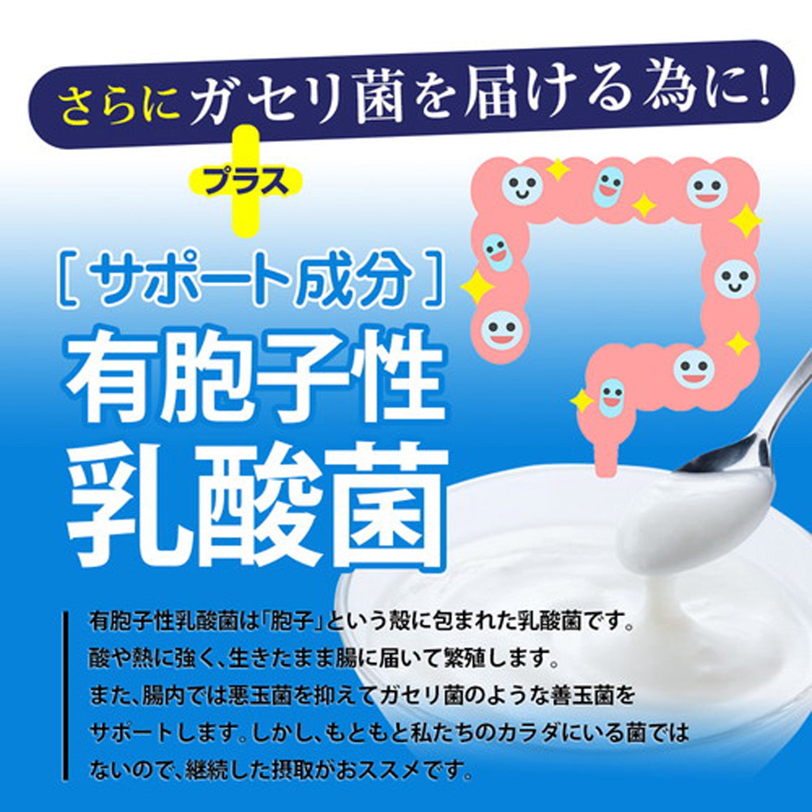 ガセリ菌プレミアム×1袋