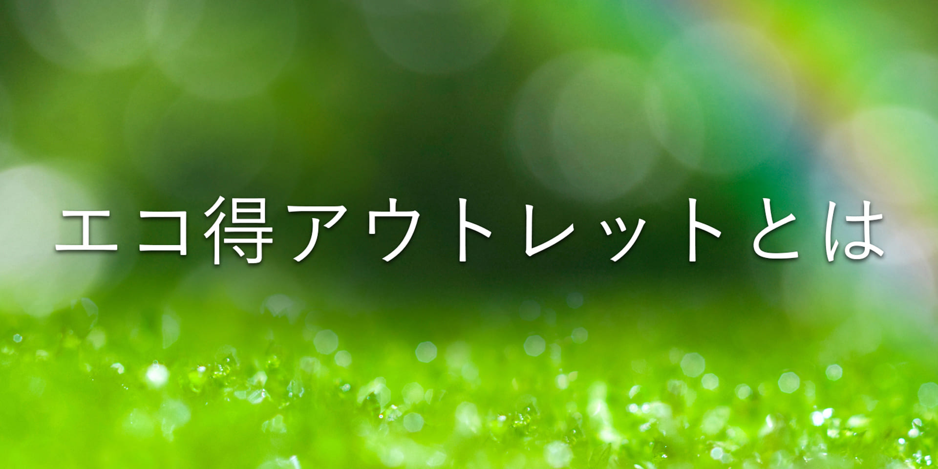 エコ得アウトレットとは