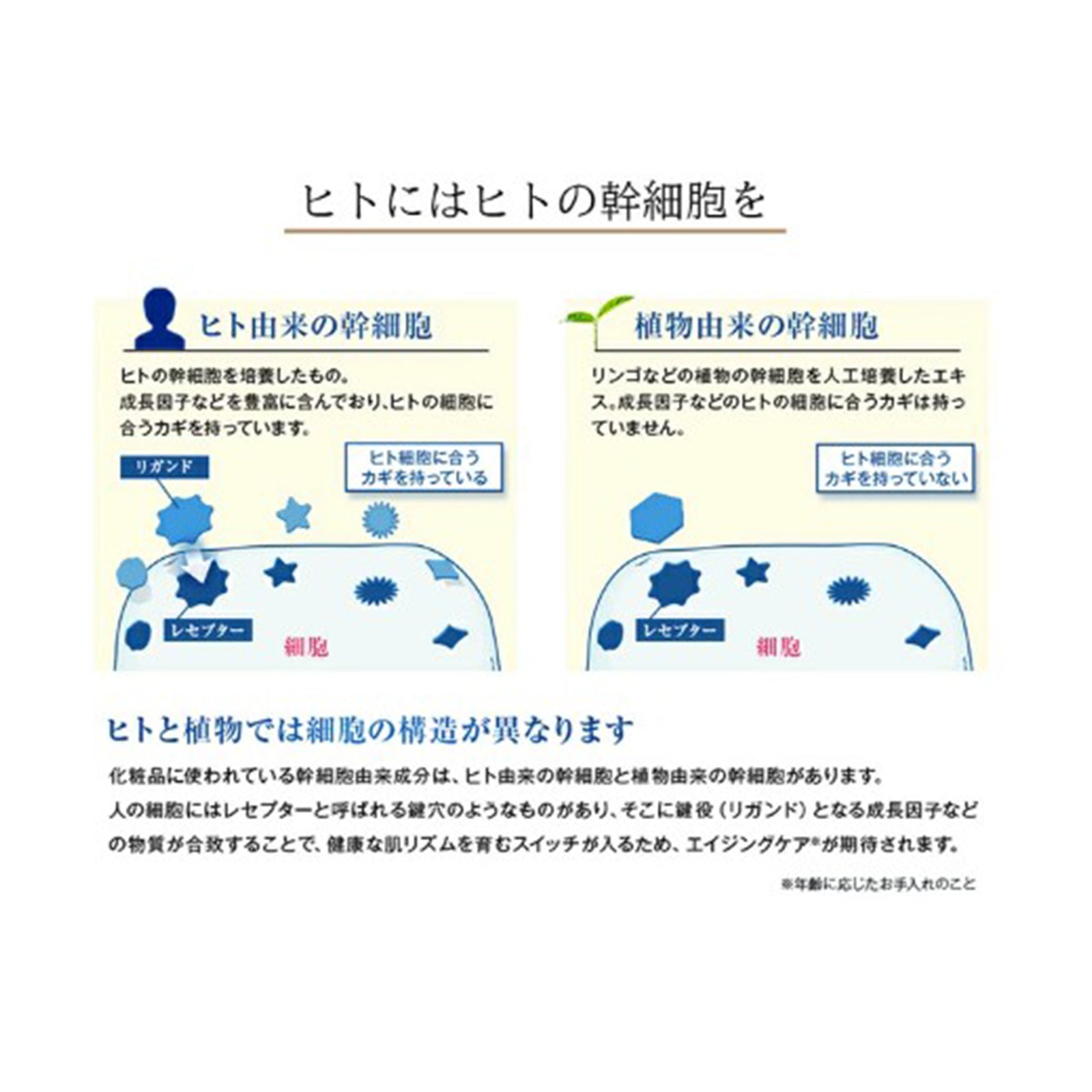 モイスチャーセラム ・LTローション2種2個