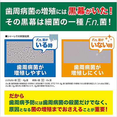 ガム・プラス デンタルリンス 低刺激ノンアルコールタイプ 450ml×6本