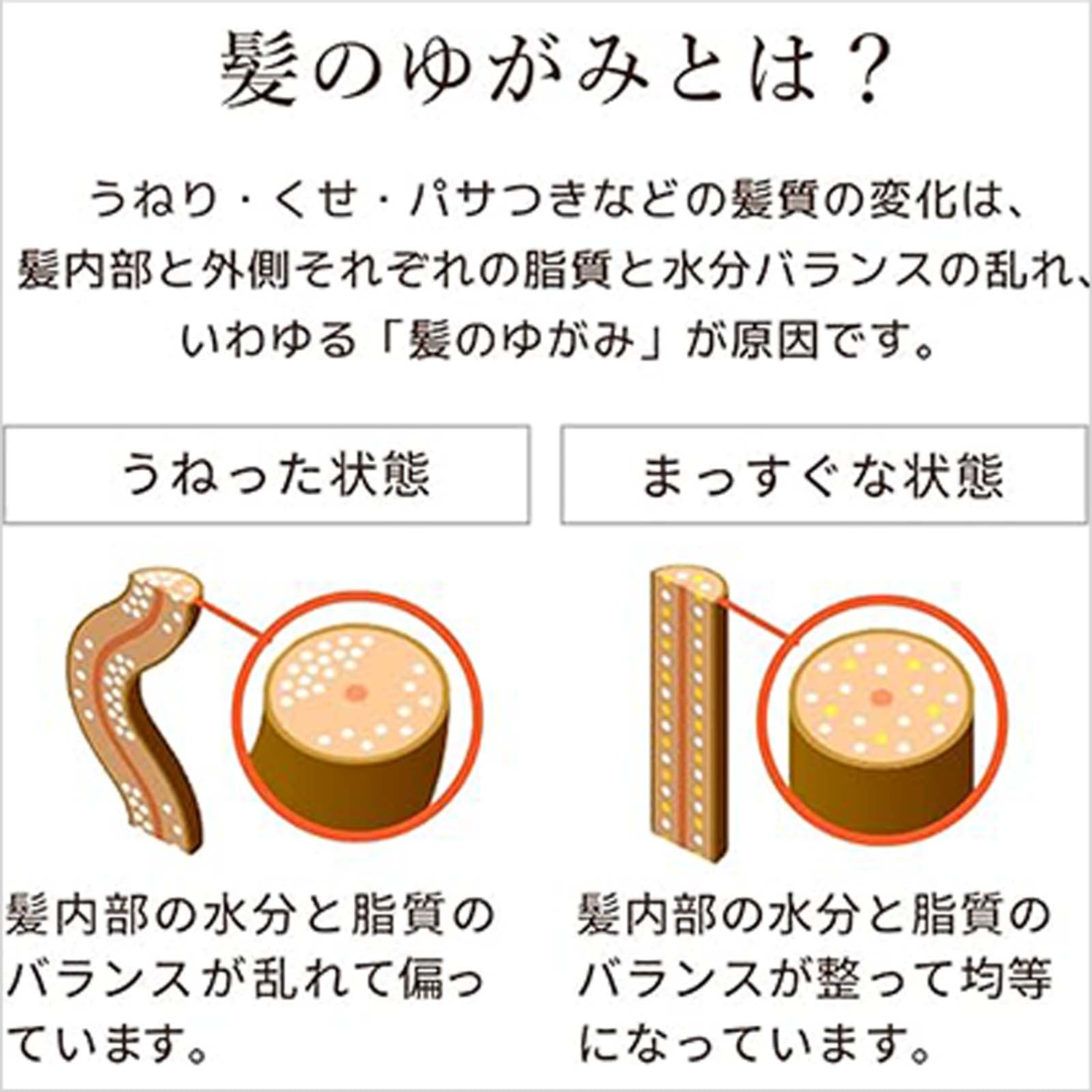 ディアボーテ HIMAWARI オイルインシャンプー・コンディショナー グロス＆リペア 詰替え 2種6個