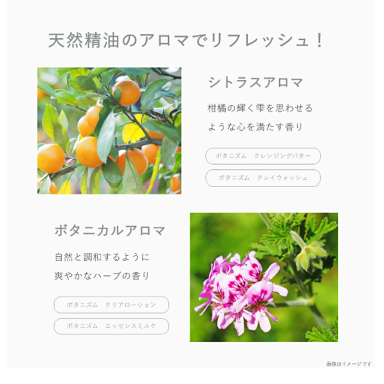 ボタニズム トライアルセット×2個/4個