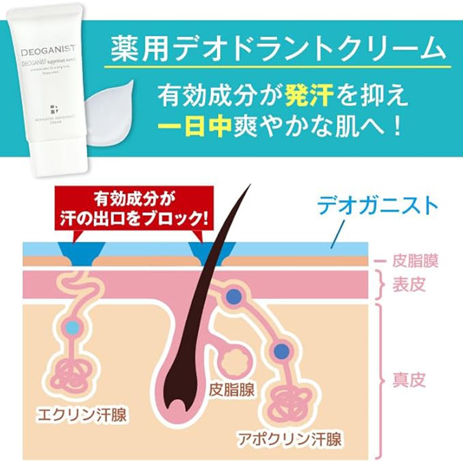 デオガニスト×3個