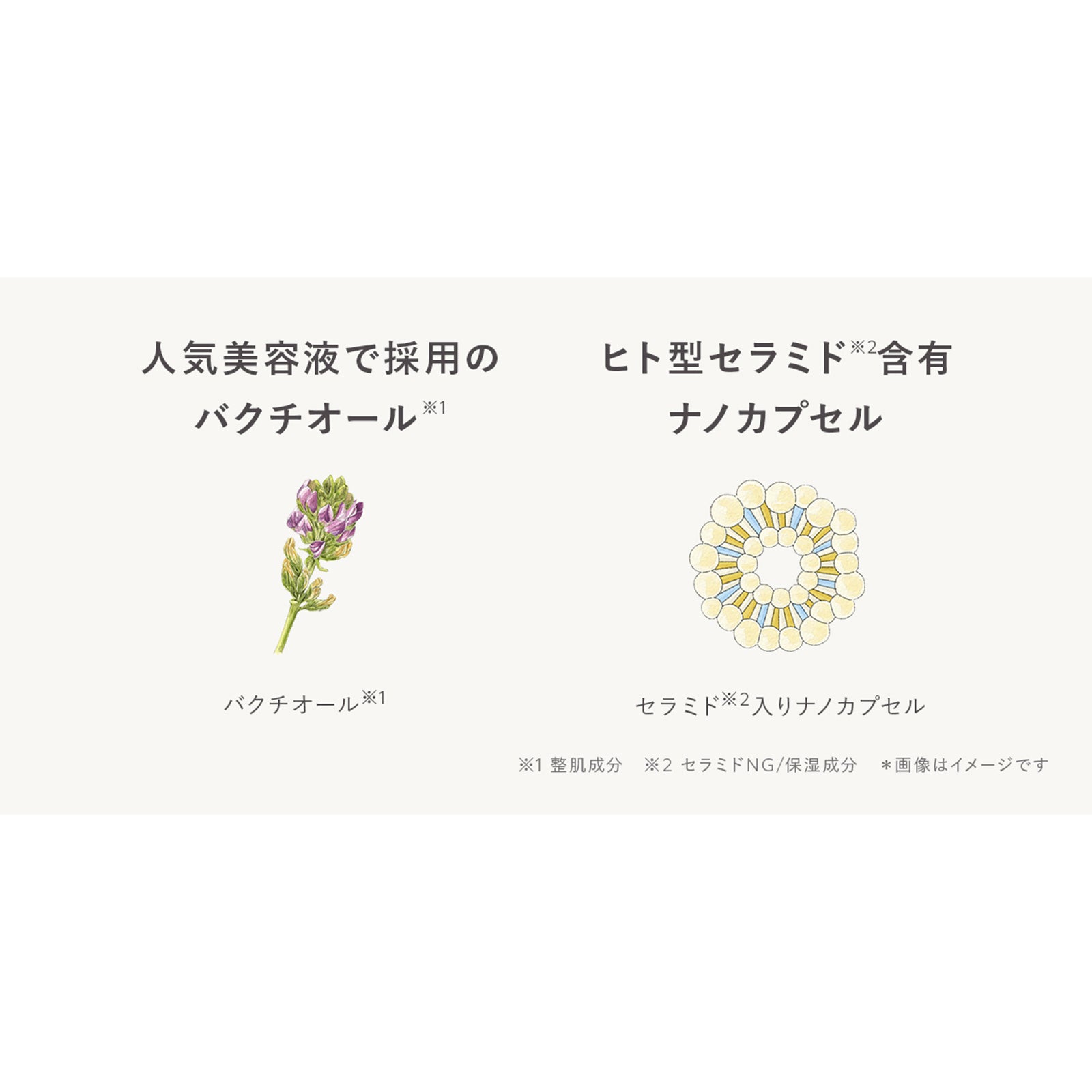 N organic Vie デイケアモイスト UVクリーム×1個