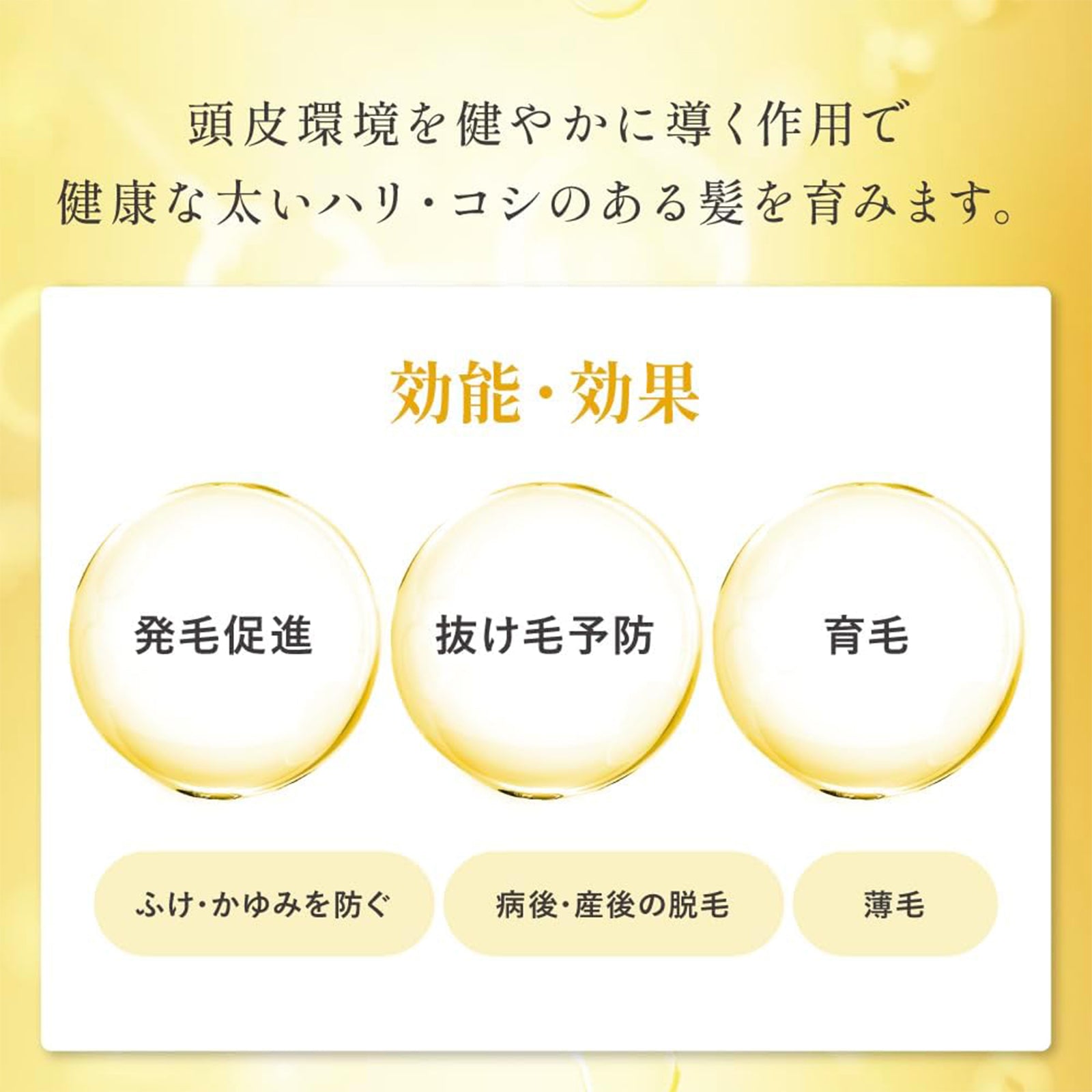 ロート ５０の恵髪ふんわりボリューム育毛剤・詰替え用2種2本/2種3本