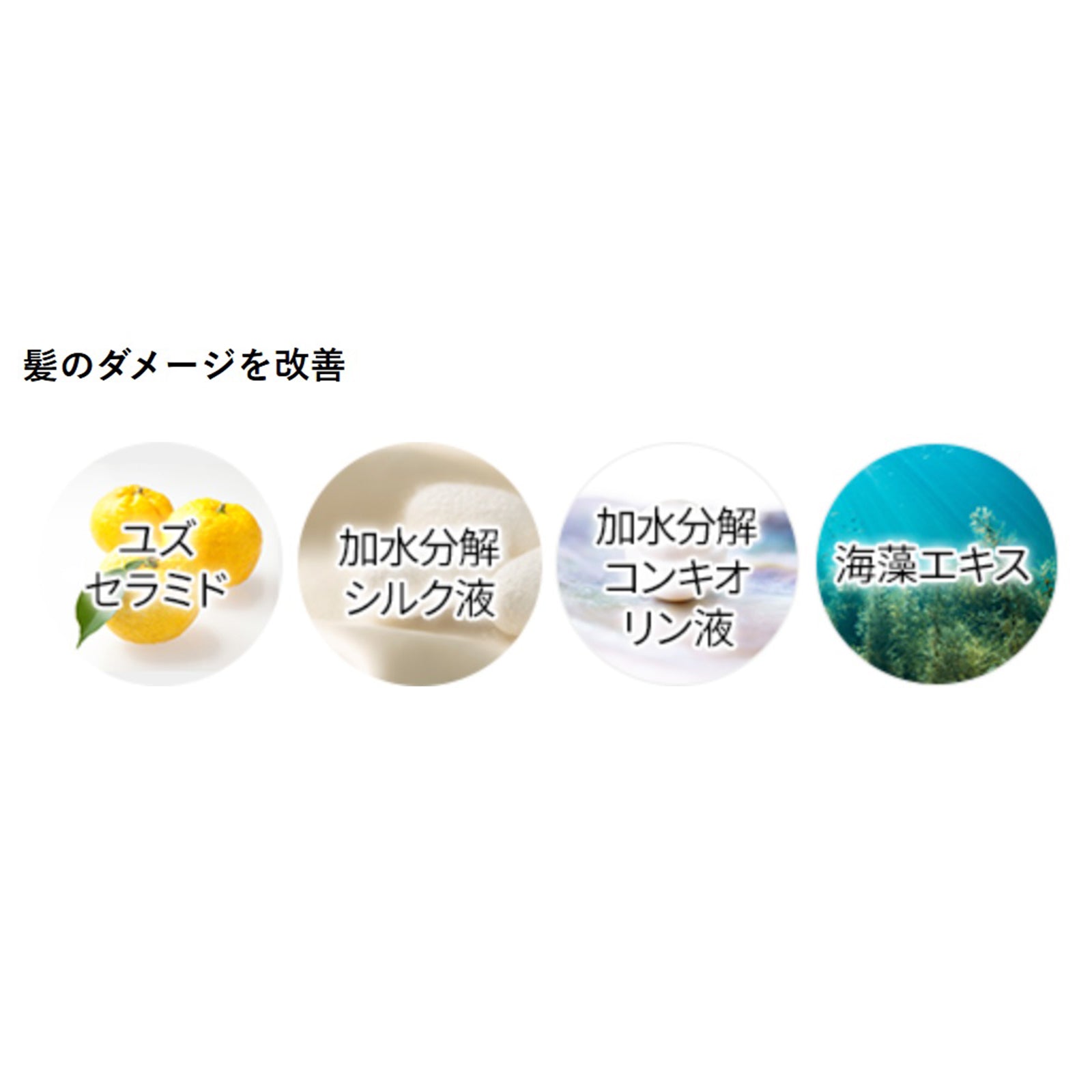 ティアレラプラス メディカルスカルプスパエッセンス×2本/3本