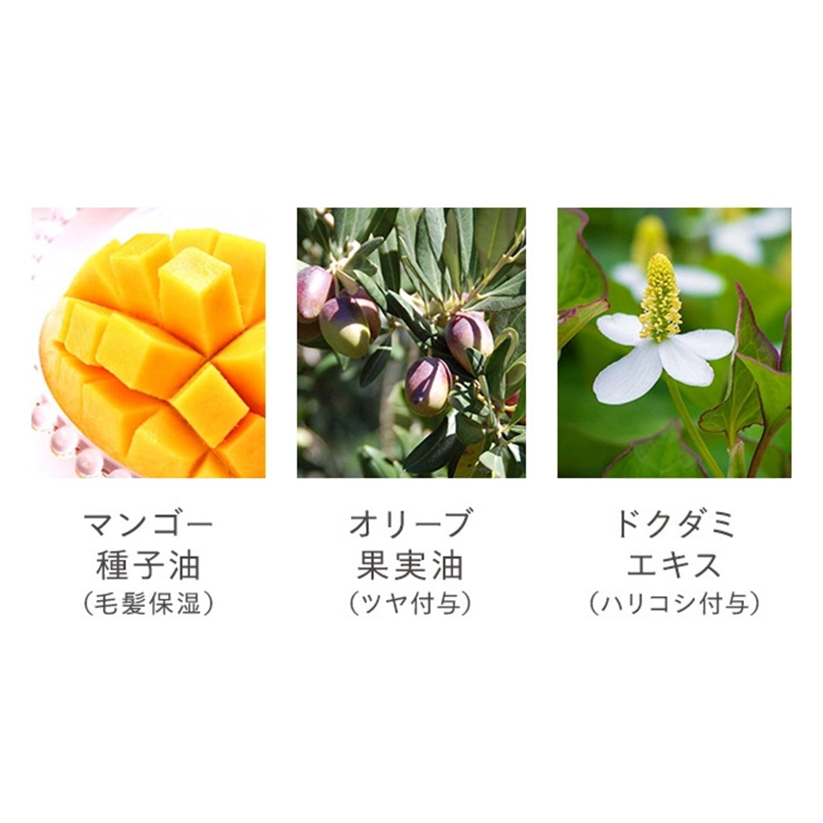 N organicマイルド&リファイニング ヘアマスク×1個