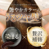 ハーバニエンス ヘアカラートリートメント ナチュラルブラウン×4個／ベージュブラウン×4個