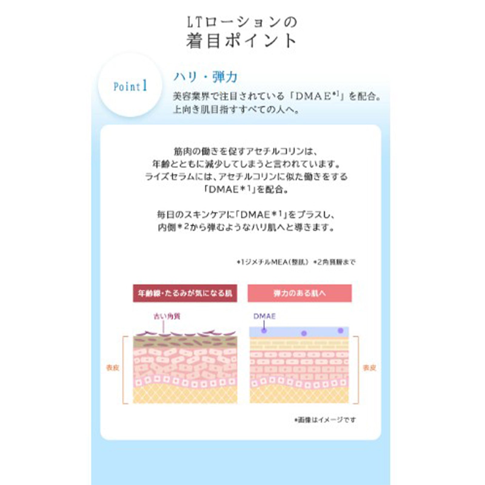 LTローション×1個/2個