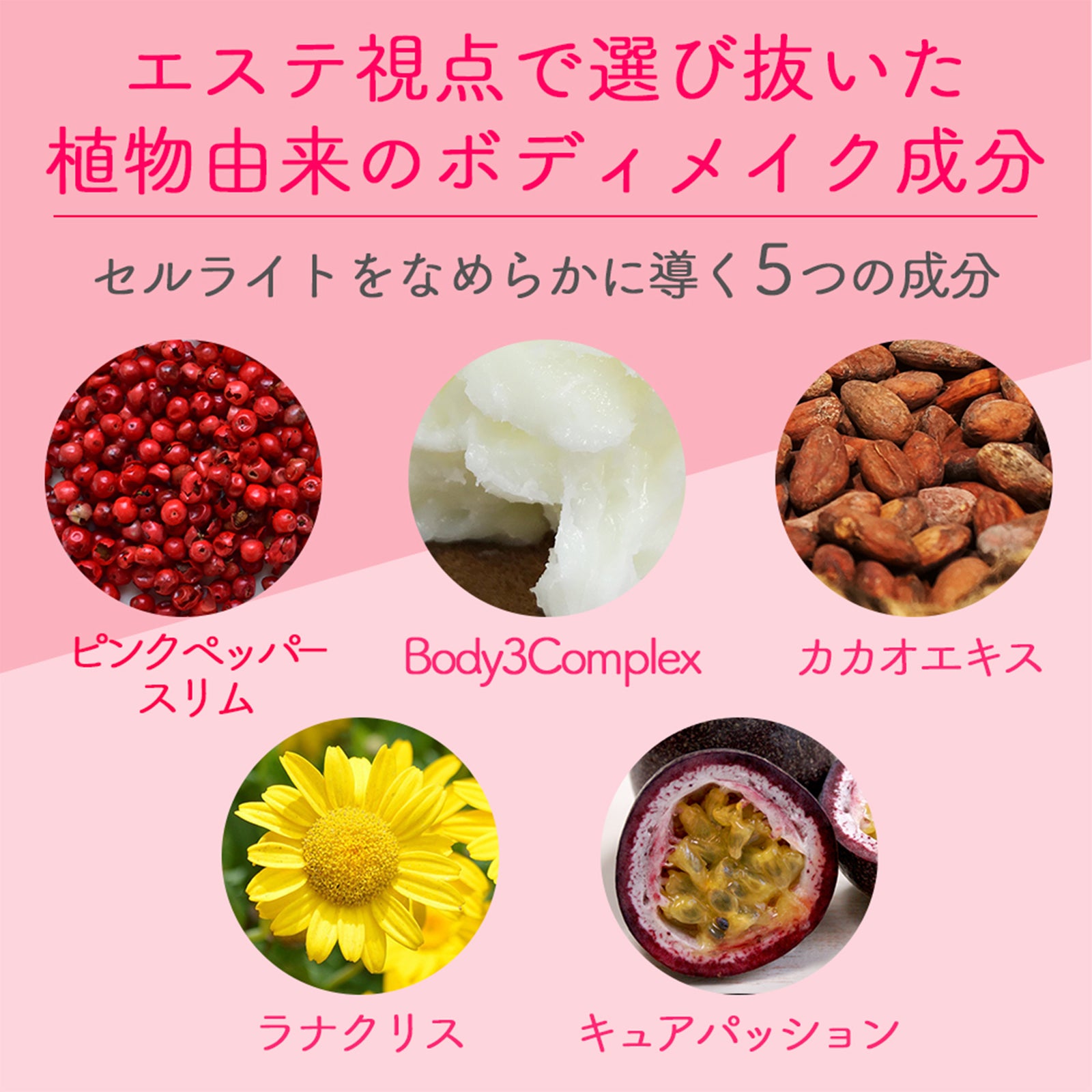 AGARISMボディキュット