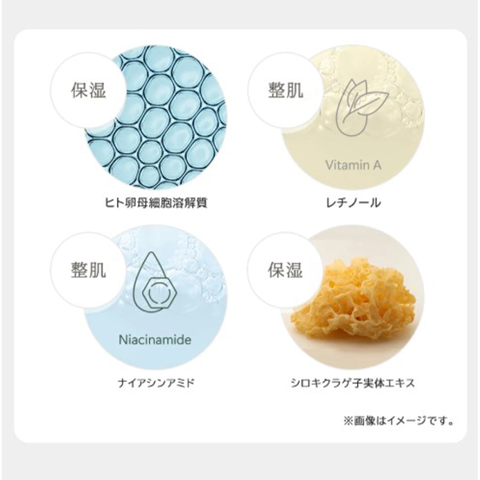 モイスチャーセラム×1個／2個