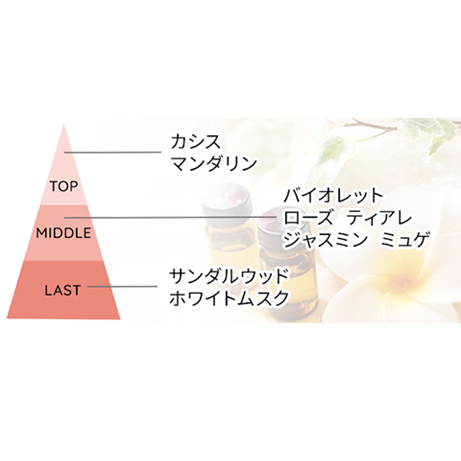 ティアレラプラス メディカルスカルプスパエッセンス×2本/3本