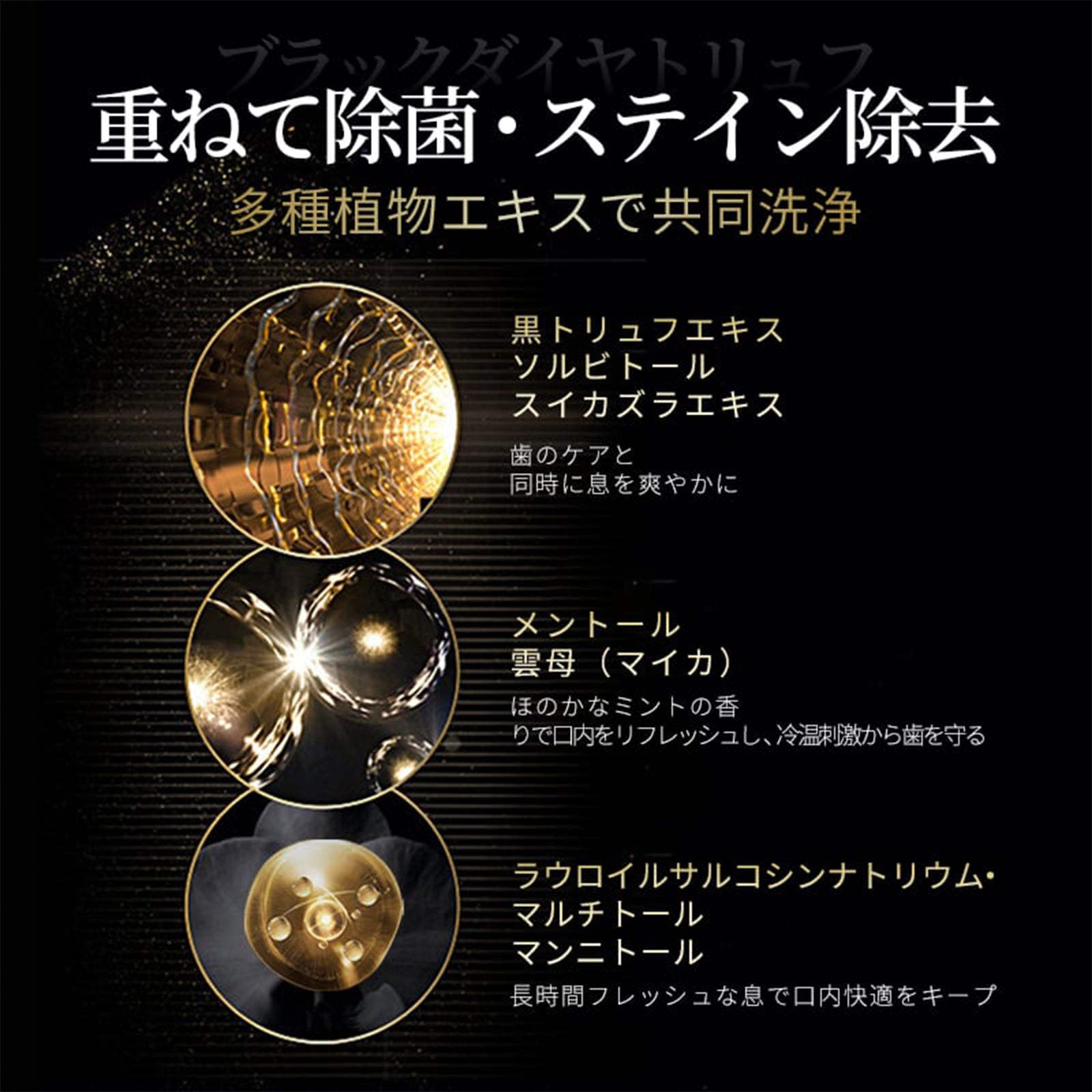 HERBENSIUS ラグジュアリー歯磨き×4個