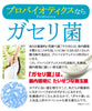 ガセリ菌プレミアム×1袋