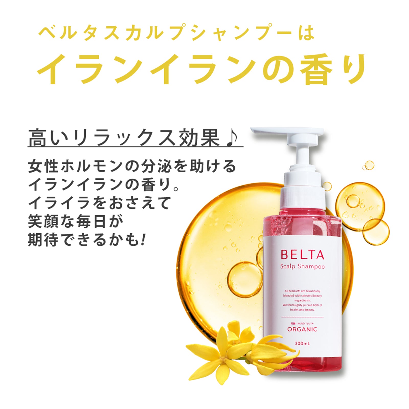 ベルタスカルプシャンプー本体・詰替2種4個