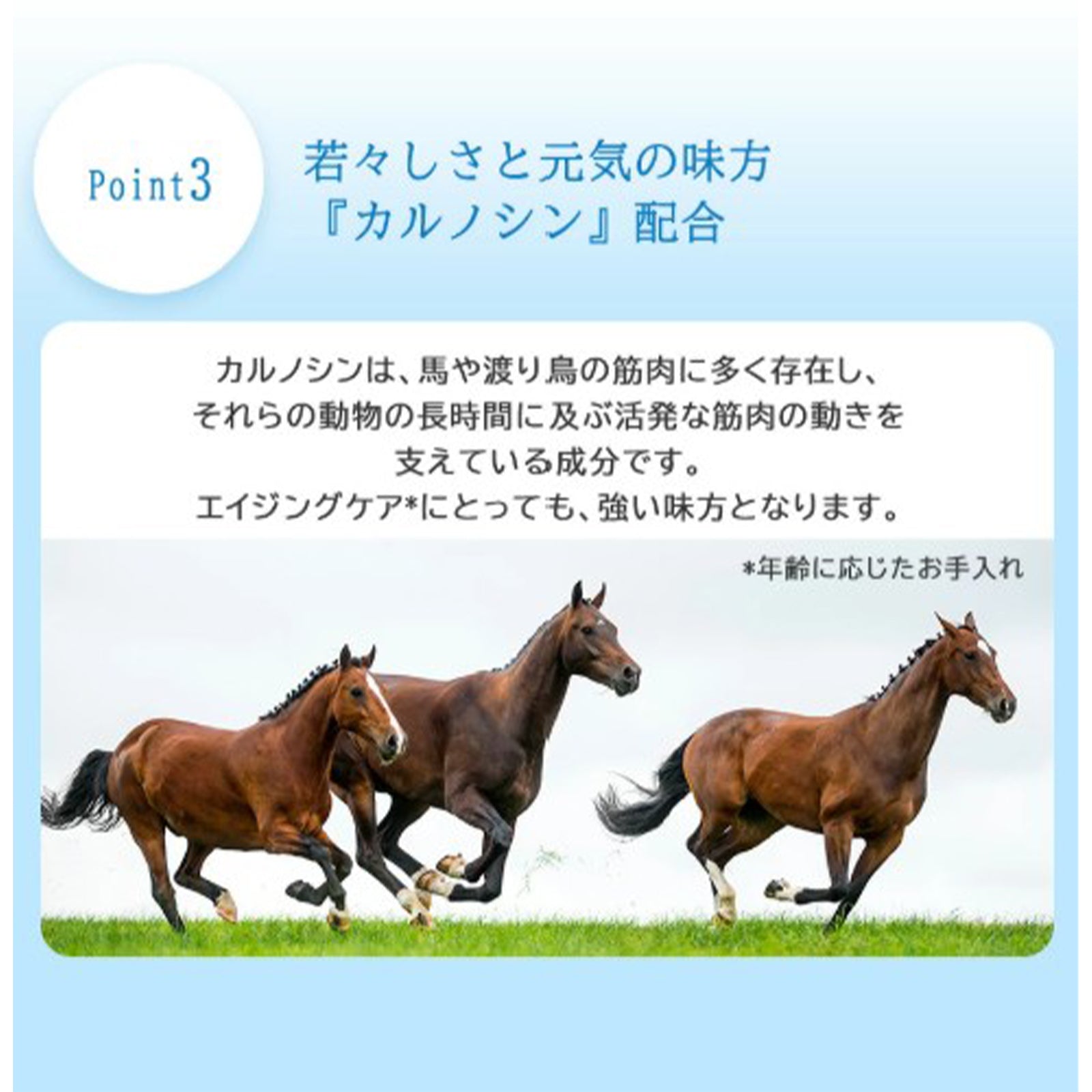LTローション×1個/2個