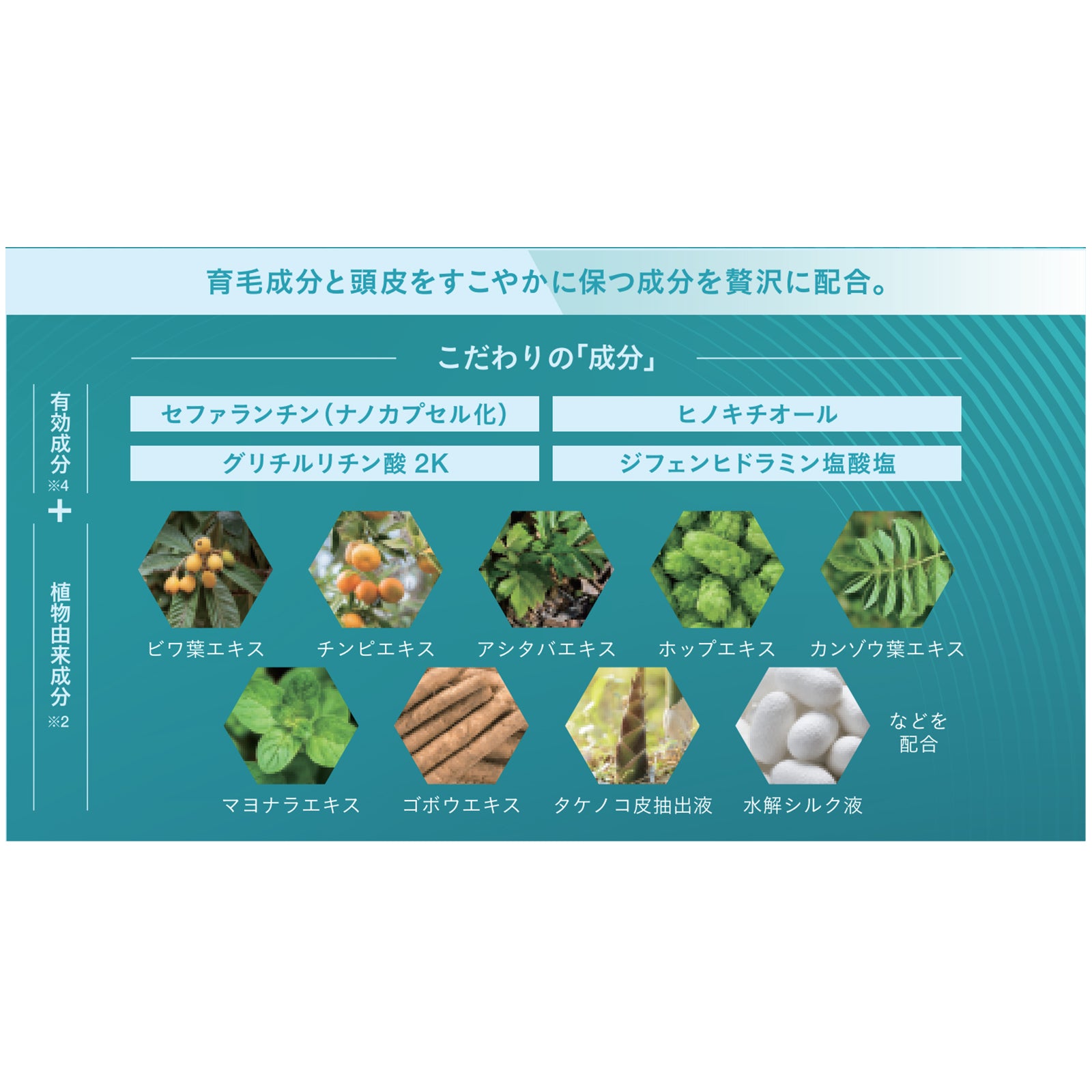 BOSLEY ヘアプラス スカルプシャンプー・トリートメント・育毛剤セット3種3個/3種6個