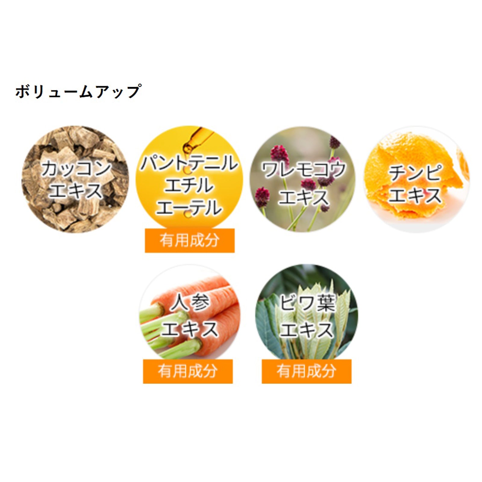 ティアレラプラス メディカルスカルプスパエッセンス×2本/3本