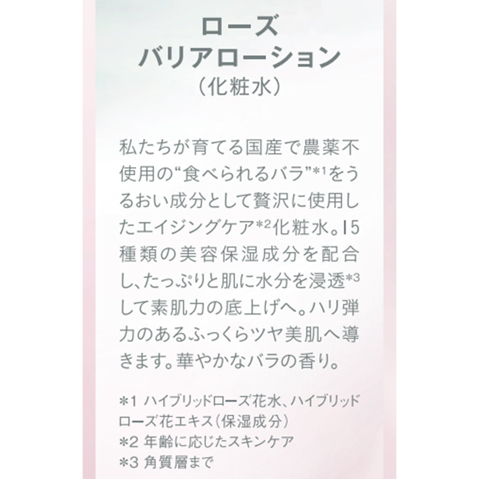 冬美容ケア8種8点セット