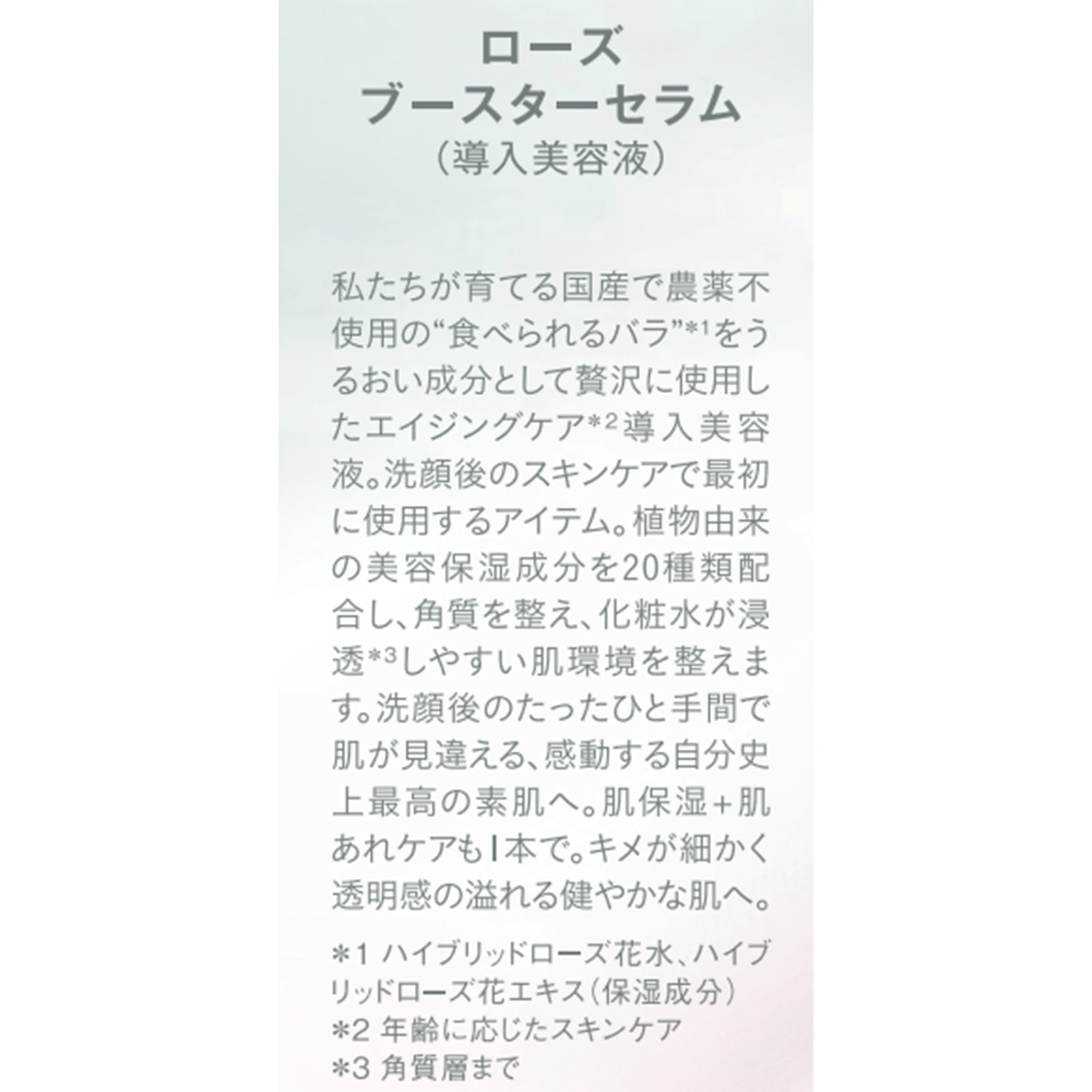 冬美容ケア8種8点セット